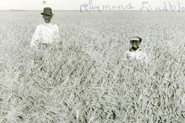Article Image Alt Text