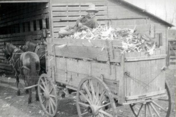 Article Image Alt Text