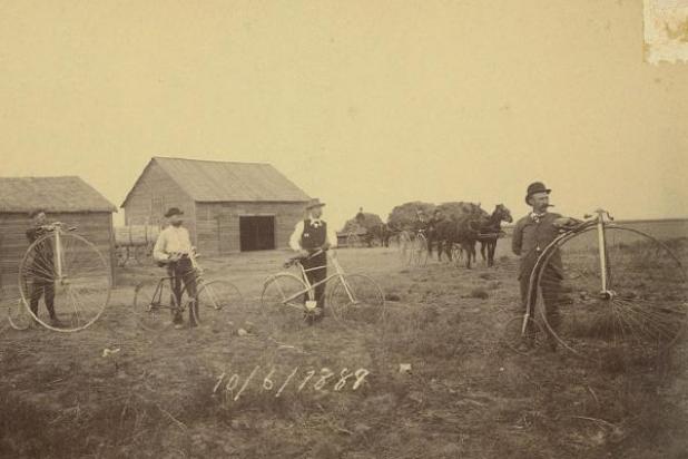 Article Image Alt Text