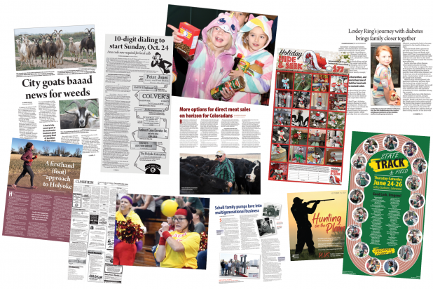 Article Image Alt Text