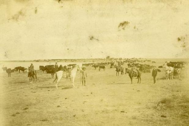 Article Image Alt Text