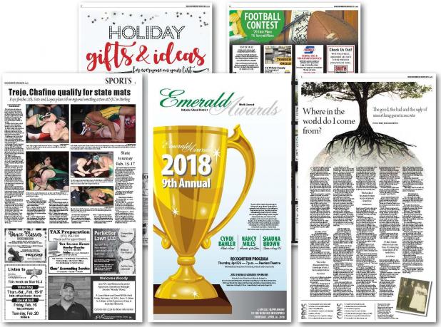 Article Image Alt Text