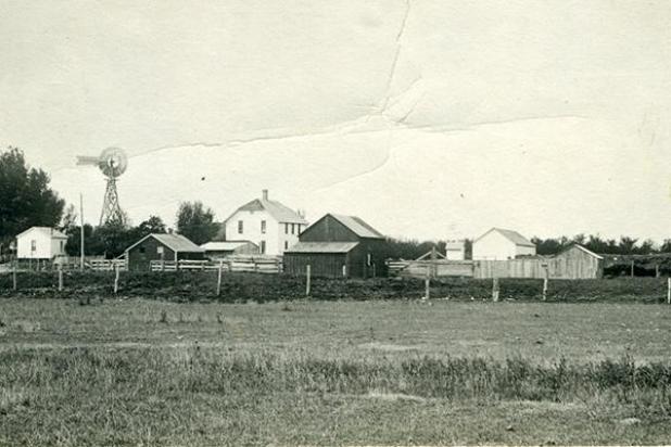 Article Image Alt Text