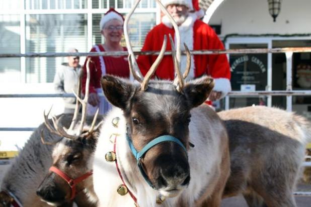 Article Image Alt Text