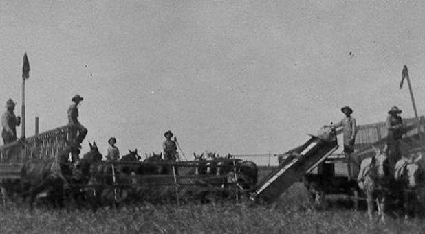 Article Image Alt Text