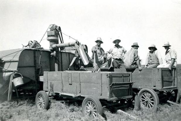 Article Image Alt Text
