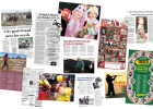 Article Image Alt Text