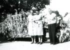 Article Image Alt Text