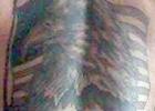 Article Image Alt Text